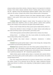 Organinės rišamosios medžiagos 4 puslapis