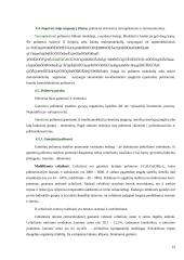 Organinės rišamosios medžiagos 10 puslapis