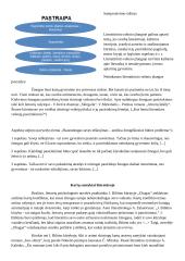 Nuoseklus pastraipų jungimas rašinyje