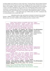 Nuoseklus pastraipų jungimas rašinyje 2 puslapis