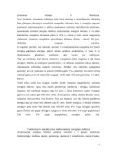 Organinis kuras, jo panaudojimas ir žala 11 puslapis