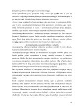 Organinis kuras, jo panaudojimas ir žala 19 puslapis