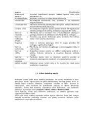 Organizacijos etikos kodeksai 5 puslapis