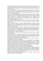 Organizacijos etikos kodeksai 10 puslapis