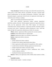 Organizacijos kultūros samprata, aspektai ir pokyčiai 2 puslapis