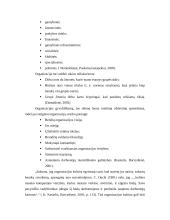 Organizacijos kultūros samprata, aspektai ir pokyčiai 5 puslapis