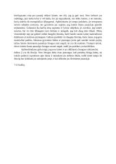 Ar laimė - tik iliuzija? 2 puslapis