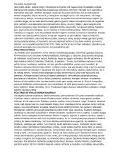 Dievų miškas (platus aprašymas) 2 puslapis