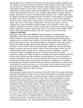 Dievų miškas (platus aprašymas) 14 puslapis