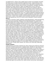 Dievų miškas (platus aprašymas) 15 puslapis