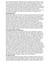 Dievų miškas (platus aprašymas) 17 puslapis