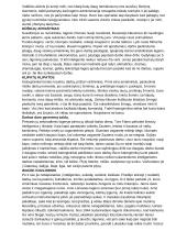 Dievų miškas (platus aprašymas) 4 puslapis