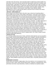 Dievų miškas (platus aprašymas) 5 puslapis