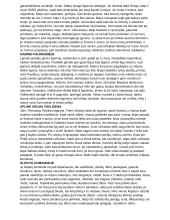 Dievų miškas (platus aprašymas) 6 puslapis