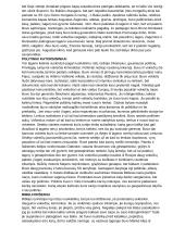 Dievų miškas (platus aprašymas) 10 puslapis