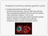 Gydymas kamieninėmis ląstelėmis 12 puslapis