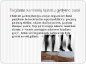 Gydymas kamieninėmis ląstelėmis 14 puslapis