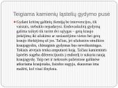 Gydymas kamieninėmis ląstelėmis 15 puslapis