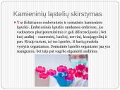 Gydymas kamieninėmis ląstelėmis 7 puslapis