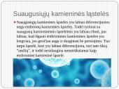 Gydymas kamieninėmis ląstelėmis 9 puslapis