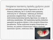 Gydymas kamieninėmis ląstelėmis 10 puslapis