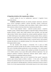 Organizacijos struktūra ir jos valdymas 11 puslapis