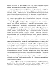 Organizacijos struktūra ir jos valdymas 12 puslapis