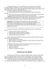 Organizacijos valdymo funkcijos ir mechanizmai 11 puslapis