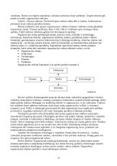 Organizacijos valdymo funkcijos ir mechanizmai 12 puslapis