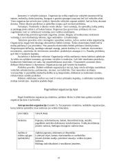 Organizacijos valdymo funkcijos ir mechanizmai 13 puslapis