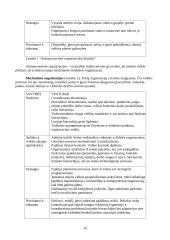 Organizacijos valdymo funkcijos ir mechanizmai 14 puslapis
