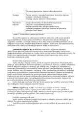 Organizacijos valdymo funkcijos ir mechanizmai 17 puslapis