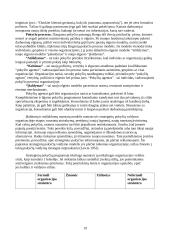 Organizacijos valdymo funkcijos ir mechanizmai 19 puslapis