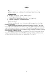 Organizacijos valdymo funkcijos ir mechanizmai 3 puslapis