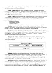 Organizacijos valdymo funkcijos ir mechanizmai 8 puslapis