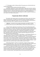 Organizacijos valdymo funkcijos ir mechanizmai 10 puslapis