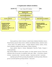 Organizacijos veiklos planavimas ir organizavimas: "Kauno Teritorinės Statistikos valdyba" 9 puslapis