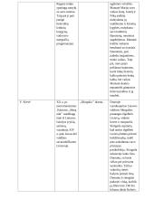 20 a. pr. autoriai 2 puslapis