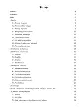 Viskas apie oro balionus 2 puslapis