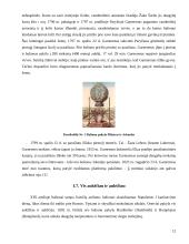 Viskas apie oro balionus 12 puslapis