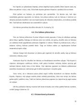 Viskas apie oro balionus 20 puslapis