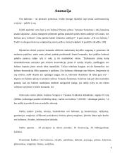 Viskas apie oro balionus 4 puslapis