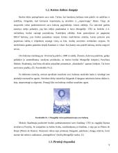 Viskas apie oro balionus 9 puslapis