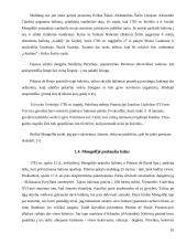 Viskas apie oro balionus 10 puslapis