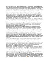 "Sename dvare" (išsamus aprašymas) 3 puslapis