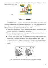 Oro pagalvės 11 puslapis