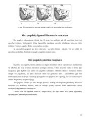 Oro pagalvės 12 puslapis