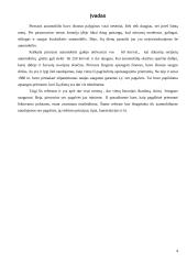 Oro pagalvės 4 puslapis