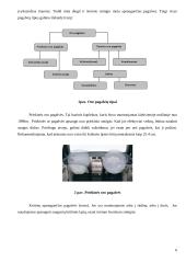 Oro pagalvės 6 puslapis