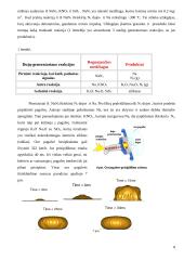 Oro pagalvės 8 puslapis